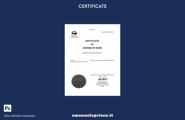 stile verificato Modello di certificato di modifica del nome del registro delle 